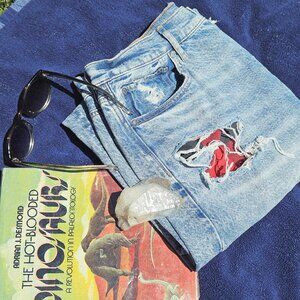 American Eagle Ripped Highest Waist 90's boyfriend jean